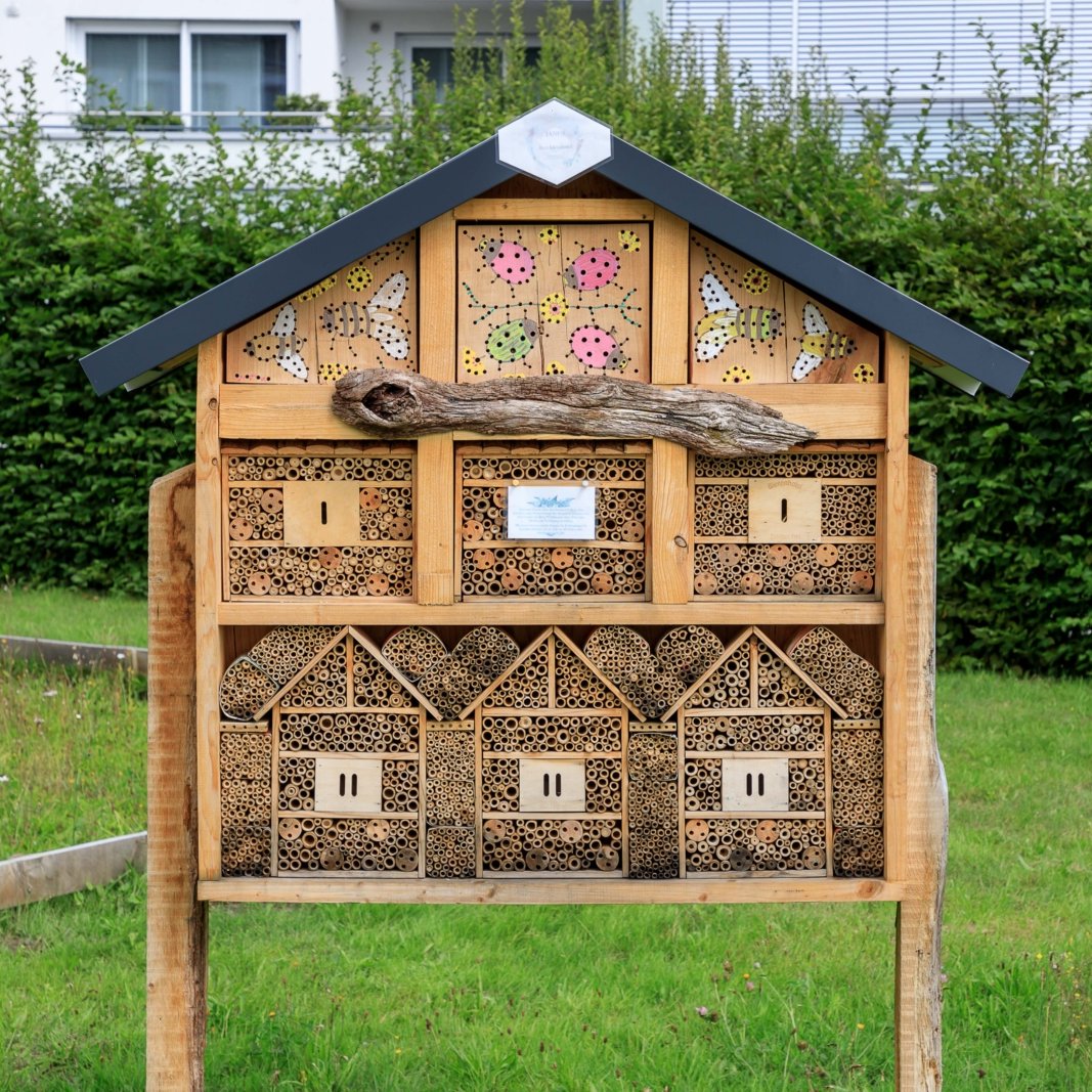 230816_142515_Insektenhotel (c) Hubert Wischeler