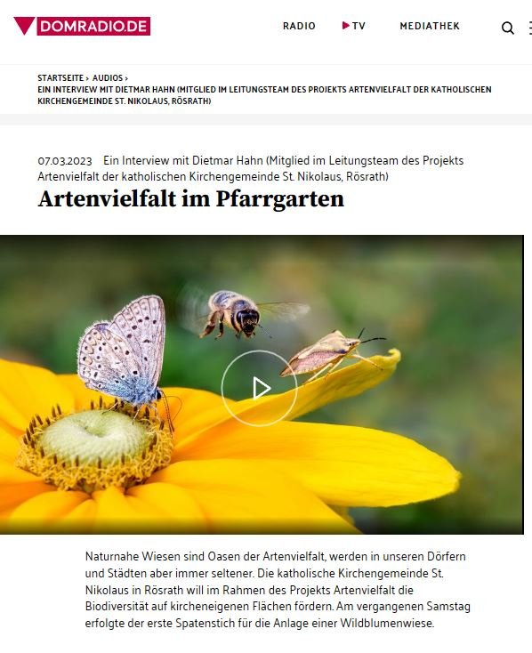 Domradio Mitschnitt (c) Domradio