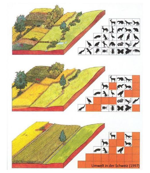 Grafik Landschaftsveränderungen