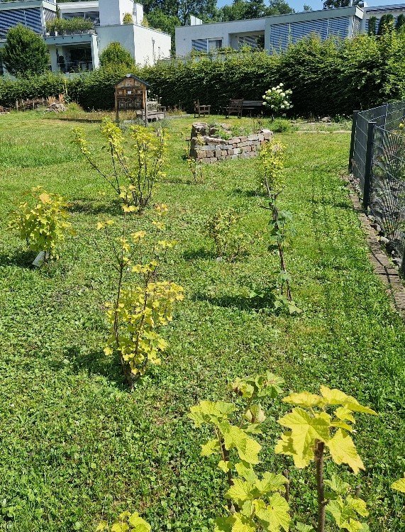 Naschhecke-rechts