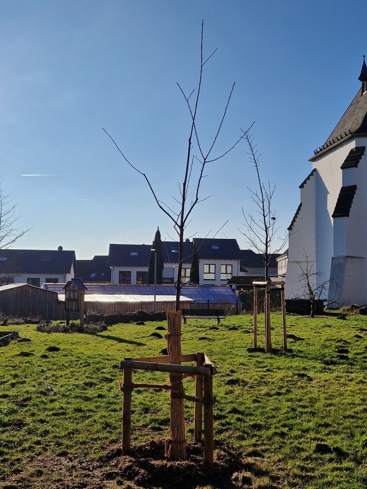 Schattenbaum rechts